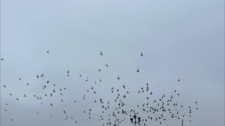 30 марта в Самарской области повторно объявили угрозу атаки БПЛА