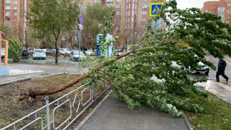 В Самарской области на 28 апреля объявлен желтый уровень опасности из-за ветра до 75 км/ч