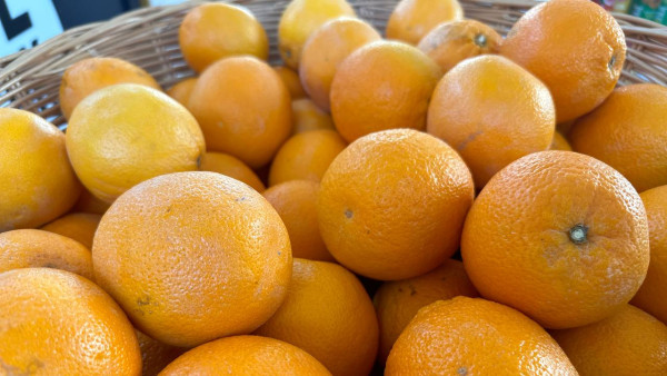 Самарцам напомнили о пользе апельсинового сока