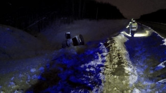 В Самарской области на заснеженной трассе водитель 3 февраля сбил лося
