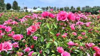 Садовый эксперт Вера Глухова рассказала о создании уникального облика сада