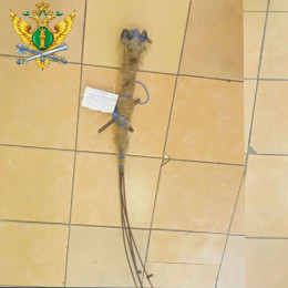 В Самарской области поймали двух браконьеров за ловлю рыбы «пауком»