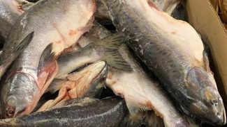 В Самарской области в 2025 году больше всего подорожали замороженная рыба и курица