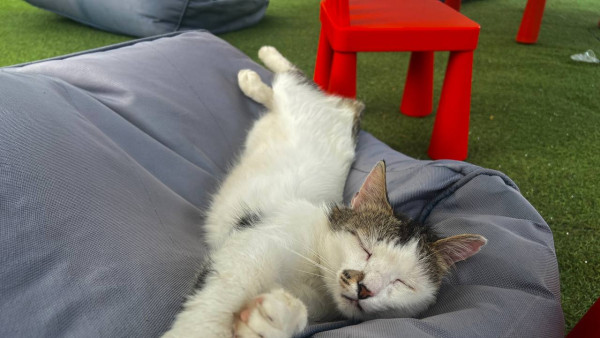 Самарцам рассказали, кому положен дополнительный отпуск