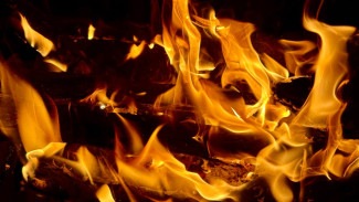 В Самарской области 8-летний ребенок сгорел в частном доме 