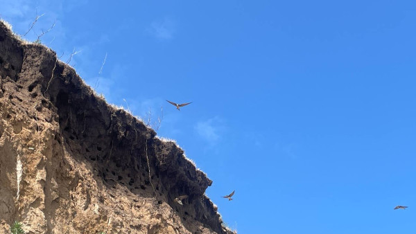 В Самарской области прирост полезных ископаемых составил более 6 млн м³