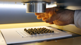 Ученые Самарского университета отправят на орбиту отряд растений-космонавтов