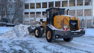 Росприроднадзор насчитал ущерб 73,5 млн от загрязнения почвы снегосвалкой в Самаре