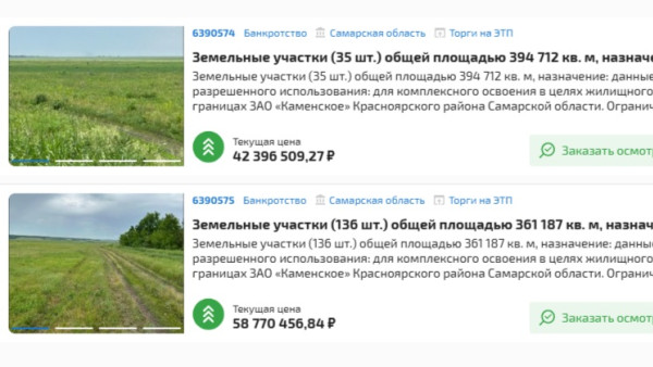 Под Самарой распродают 170 участков земли за 101 млн рублей