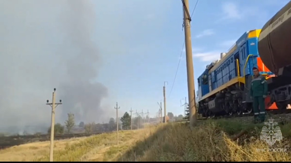 В Самарской области в зоне лесного пожара остановился поезд 