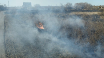 12 возгораний за сутки: в Самарской области начинается сезон природных пожаров 
