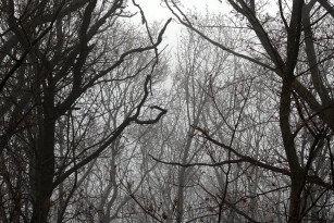 В Самарском регионе всю ночь 13 декабря действовал режим опасности атаки БПЛА