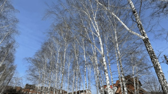 В Самару вернутся морозы до минус 9 градусов