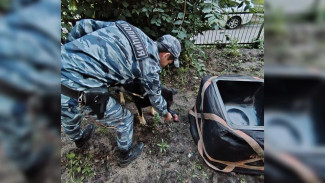 В Тольятти взрывотехники оцепили территорию из-за подозрительного предмета