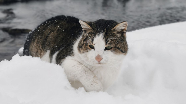 В Самаре на выходных ожидается гололедица и мокрый снег