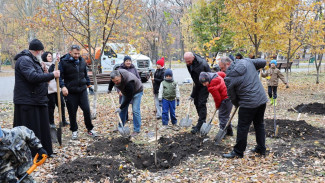 В Самаре в парке имени Юрия Гагарина активисты высадили саженцы лип