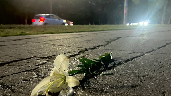 В Самарской области пьяному водителю, сбежавшему после смертельного ДТП, дали 8,5 лет строгого режима