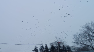 Народные приметы: 24 марта. Не делайте это на Ефимов день, чтобы сохранить свое здоровье