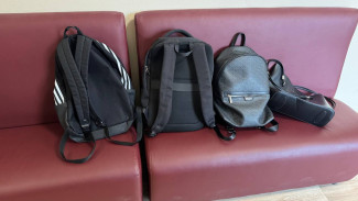 Александр Бастрыкин ждет доклад о школьной драке с переломом под Самарой