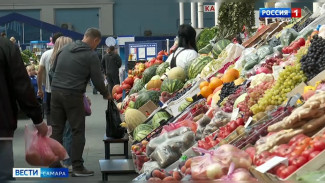 Самарцам рассказали, где найти все для пикника