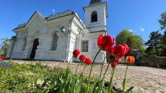 В Самаре похоронили блогера Юлию Бурцеву, погибшую на пластической операции в Москве
