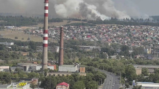 Николай Ренц назвал причину большого пожара в Самарской области