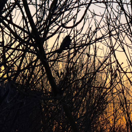 Губернатор Вячеслав Федорищев уточнил число пострадавших после атаки БПЛА на жилой дом в Сызрани