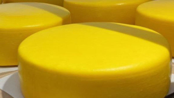 Самарский сыровар Надежда Красненко произвела 50 видов сыра на своей ферме