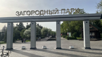 В Загородном парке вандалы испортили новые шезлонги и скамейки