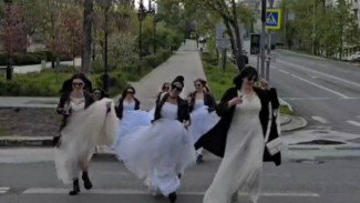 В Самаре 8 невест устроили массовый побег из ЗАГСа
