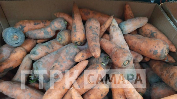 В Самарской области выросла цена овощей 