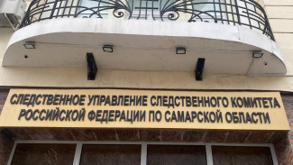 В Самарской области расследуют дело о незаконной выдаче земель льготникам