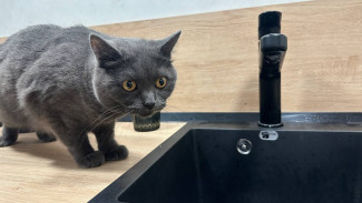 В Самаре жители 11 улиц могут остаться без холодной воды в период с 13 по 19 декабря