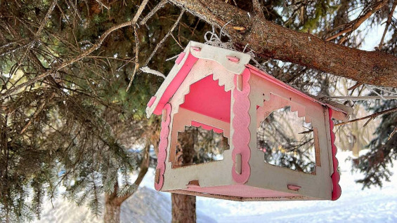 Самарцам рассказали, чем можно кормить птиц зимой