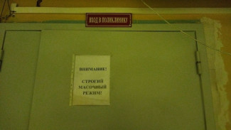 Кровотечения, желтуха и паралич: в Самарской области ввели карантин по водной лихорадке