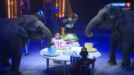 В Самару приехали легендарные слоны династии Корниловых 