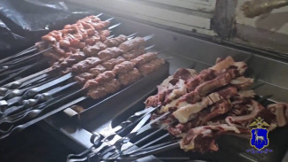 В Самаре по решению суда на 1,5 месяца закрыли шашлычную, где по мясу бегали крысы