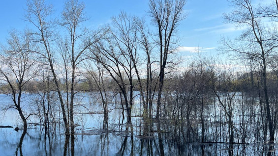 Опубликованы данные о паводковой обстановке в Самарской области на 29 апреля 
