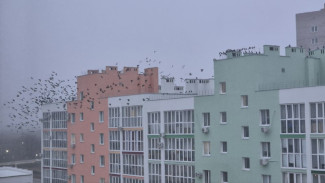 Пора утепляться: со следующей недели Самару ждет похолодание