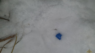 В Самарской области поймали молодых наркоторговцев 