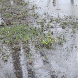 Появились кадры ушедшей под воду улицы Полевой в Самаре