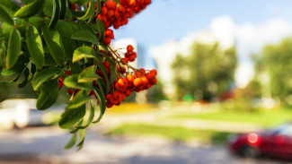 Гороскоп на 31 августа: эти 6 знаков ждет напряженный и тяжелый день 