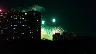 Самарцам рассказали, как выбрать безопасную пиротехнику к Новому году