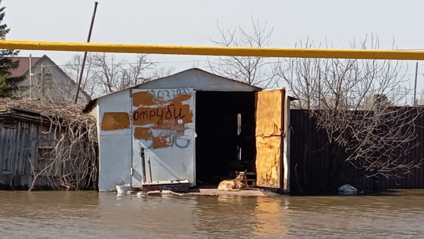 В Самарской области паводком подтоплены 39 домов и 7 мостов
