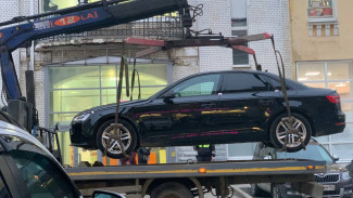 Момент стрижки самарца на движущемся эвакуаторе сняли на видео