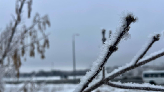 29 декабря - Агей Инесей: зачем нужно стучать топором по порогам и углам