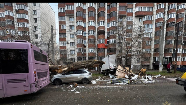 В Самаре движущийся автобус уронил дерево на иномарку