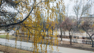 Сразу -17 градусов: в Самаре резко упадет температура