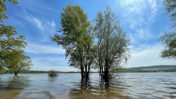 В Самаре вода в Волге поднялась на 3 метра выше уровня 2025 года