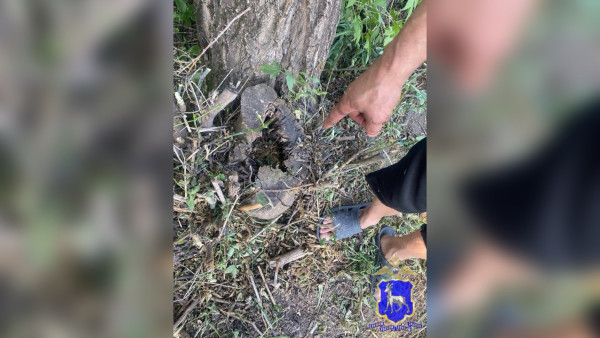 В Самарской области задержали мужчину с партией наркотических веществ